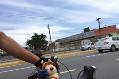 1274 9-12 Riding