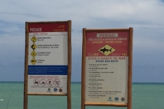 1318 10-12 Shark zone