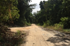 1330 10-12  Path