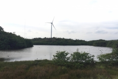 1335 10-12  Wind turbine