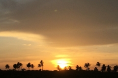 1369 11-12 Sunset
