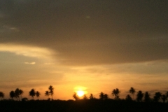 1370 11-12 Sunset