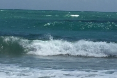 1377 12-12 surf.