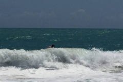 1378 12-12 surf.