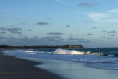 1381 12-12 surf.