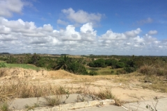 1387 13-12 View