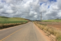 1391 13-12 Road