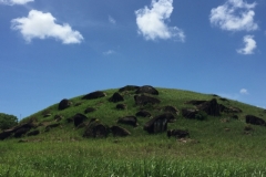 1399 13-12 Hill