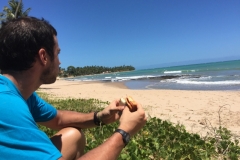 1426 14-12 Sandwich on the beach