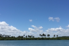 1429 14-12 shoreline