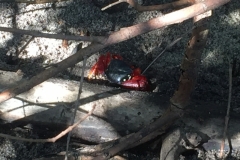 1437 15-12 crab