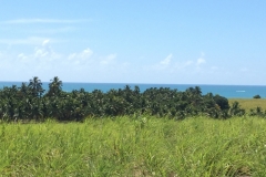 1458 15-12 view