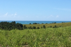 1459 15-12 view