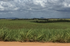 1460 15-12 view