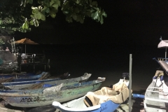 1491 17-12canoes
