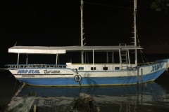 1494 17-12 Boat