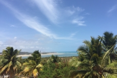 1513 18-12 view