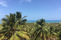 1514 18-12 view