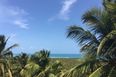 1515 18-12 view