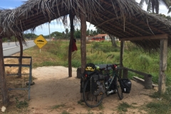 1532 19-12 Bike shelter