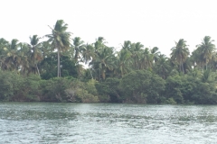 1548 19-12 shore