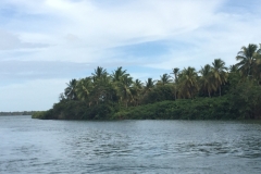 1549 19-12 shore
