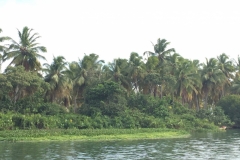1552 19-12 shore