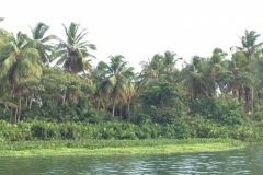 1553 19-12 shore