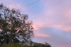 1558 19-12 Clouds