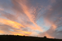 1559 19-12 Sunset