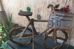 1582 21-12 Rent a bike
