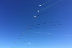 1603 25-12  kites