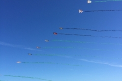 1604 25-12  kites