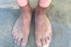1649  27-12 Feet