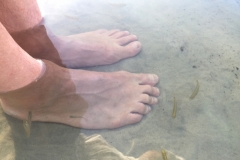 1650  27-12 Feet