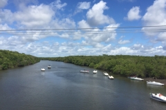 1655  28-12 River