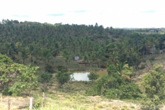 1666  28-12 view