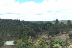 1667  28-12 view