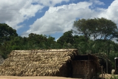 1672  28-12 thatch