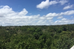 1684  29-12 view