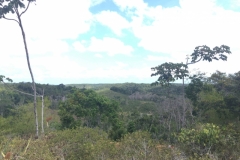 1685  29-12 view