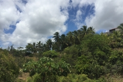 1693  30-12 view