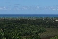 1697  30-12 view