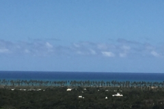 1698  30-12 view