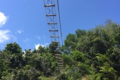 1699  30-12 view