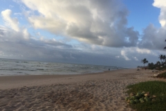 1729  31-12 Beach