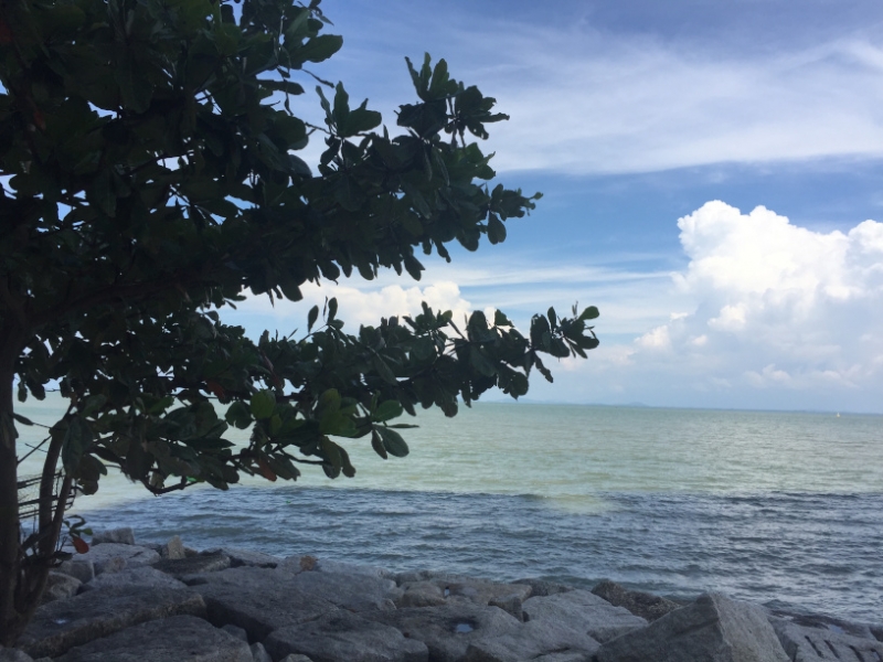 4693 -25-12-18  seaview