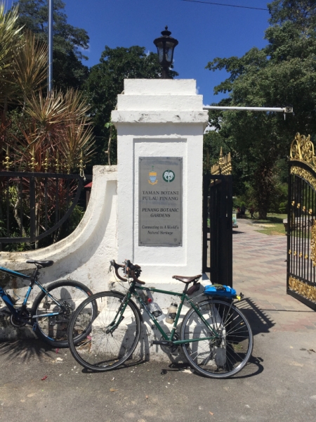 4784 -28-12-18  Penang botanic gardens