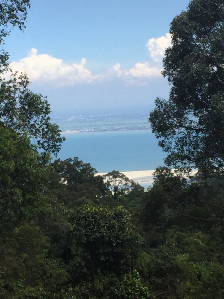 4795 -28-12-18  view