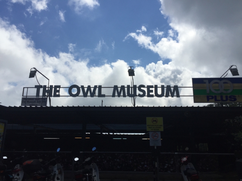 4801 -28-12-18  Owl Museum